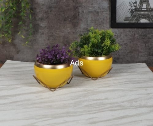 Apple Planter set of 2 idekors