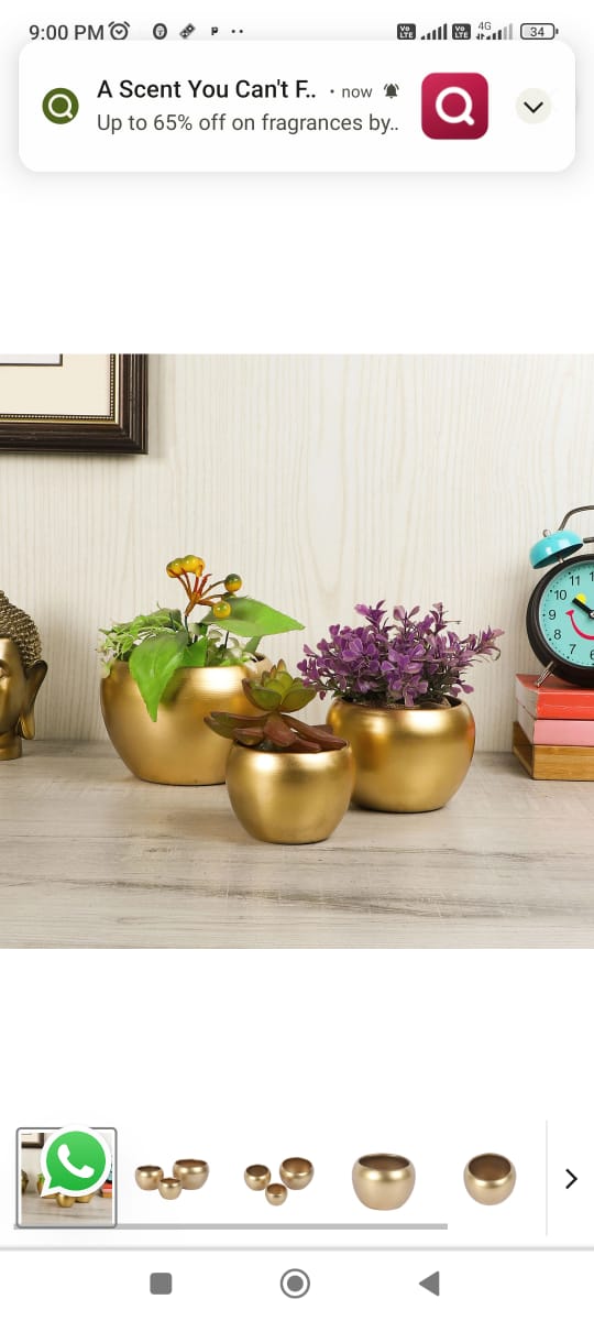 Apple Shaped Planter idekors
