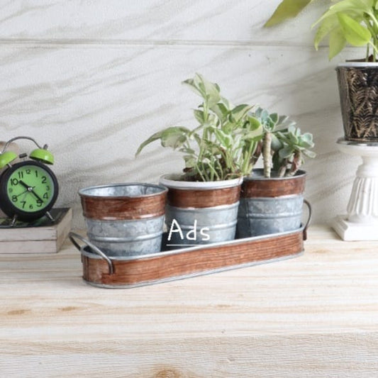 Metal Bucket Planter idekors