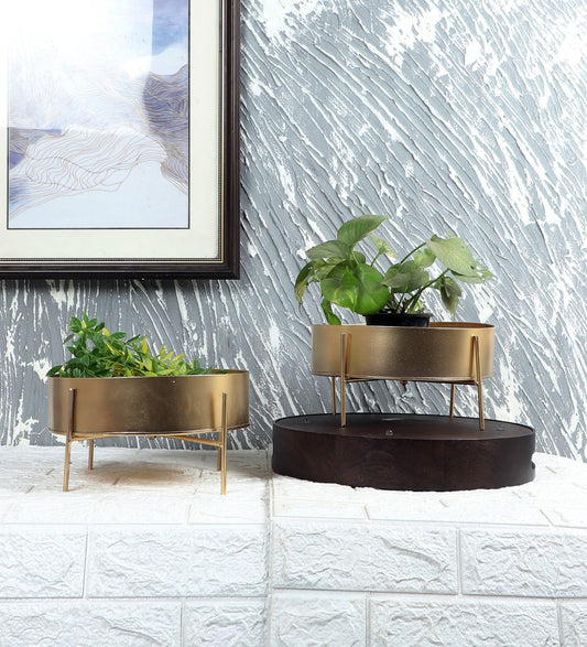 Tray Shape planter set of two idekors