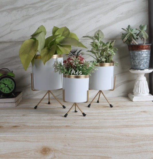 Votive Planter Stand set of 2 idekors