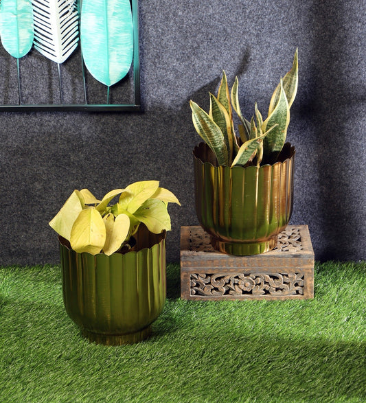 Gold Stripe Planter idekors