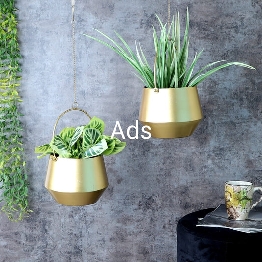 Wine Glass shape Hanging Planter set of 2 idekors