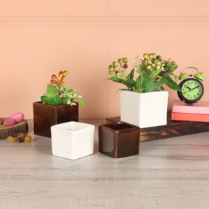 Ceramic Planter set of 4 idekors