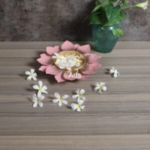 Flower Color Urli set of 3 idekors