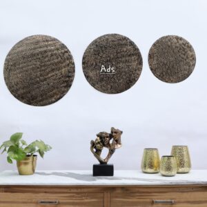 Metal Circles wall decor set of 3 idekors